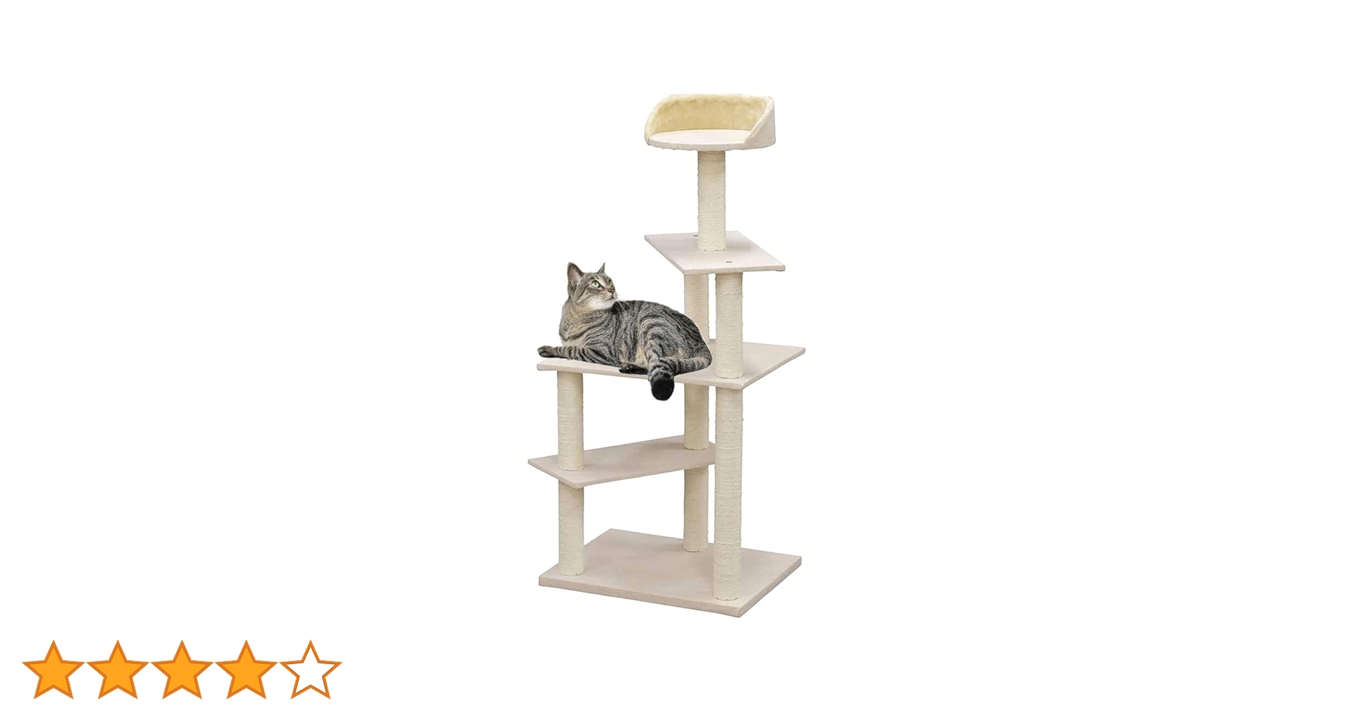 51CE0IhMnOL.jpg_BO30,255,255,